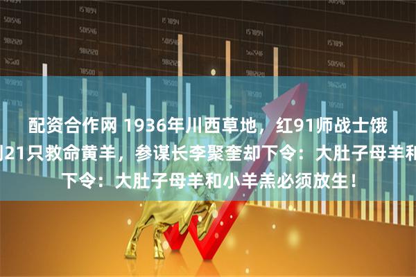 配资合作网 1936年川西草地，红91师战士饿到眼冒金星，抓到21只救命黄羊，参谋长李聚奎却下令：大肚子母羊和小羊羔必须放生！